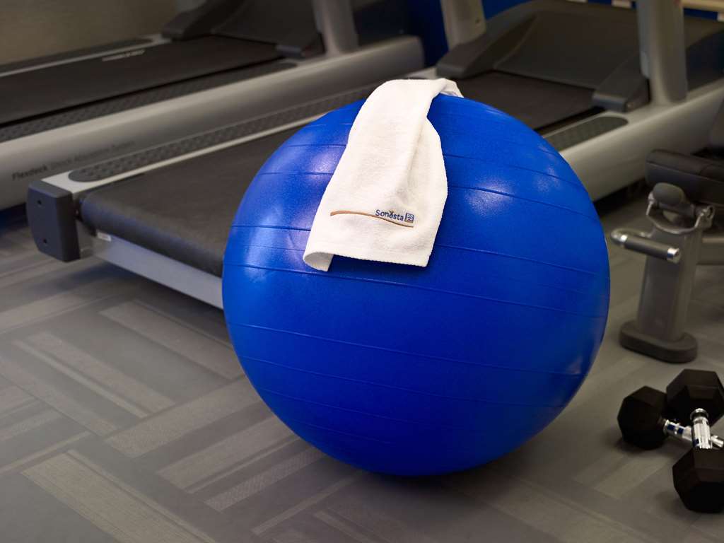 Sonesta Hotel Ibagué Facilidades foto An exercise ball